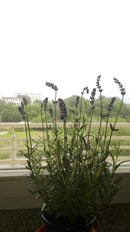 Greenapartament Krakow